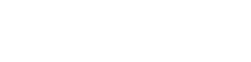 The Action Bible