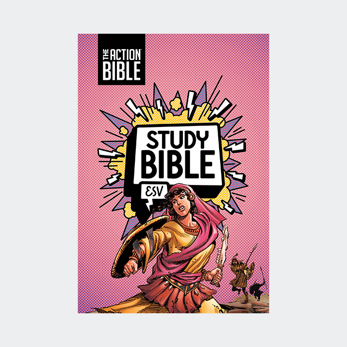 The Action Bible Study Bible ESV -  Pink Premium Imitation Leather