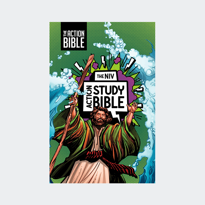 The NIV Action Study Bible – Leathersoft – Forest